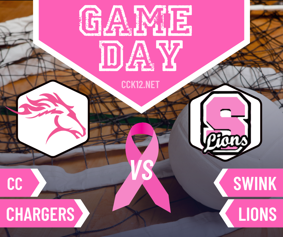 Pink Out Game